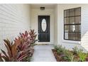 Inviting front entrance with manicured landscaping leading to a modern black front door at 8814 Hampden Dr, Tampa, FL 33626