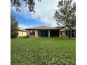 Expansive backyard with lush green lawn and a screened-in patio, perfect for outdoor entertaining at 116 Silver Falls Dr, Apollo Beach, FL 33572