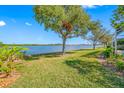 Scenic view of the lake from the backyard, enhanced by a large tree at 833 Seminole Sky Dr, Ruskin, FL 33570