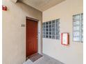 Condo entryway featuring front door with adjacent decorative glass block windows at 6414 Hollydale Pl # 101, Riverview, FL 33578