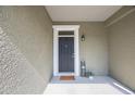 Front door with welcome mat, and decorative 'Home' sign at 8004 Downpatrick Ct, Tampa, FL 33610