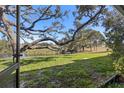 Backyard with a view of an open grass yard and a pond in the distance, great for relaxing outdoors at 11410 Carriage Hill Dr # 3, Port Richey, FL 34668