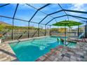 Inviting screened-in pool area featuring a sparkling pool, ample deck space, and a lush, private backyard setting at 7426 Sungold Meadow Ct, Apollo Beach, FL 33572