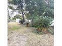 View of the lush backyard with palm trees and mature trees providing shade and a white fence marking the property line at 7044 Everest St, Spring Hill, FL 34606