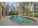 An inviting screened-in pool area with a relaxing spa, surrounded by lush tropical foliage at 1370 Pinellas Rd, Belleair, FL 33756