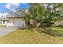 Charming home with a well-maintained lawn, lush palm trees, and an attached one-car garage at 13815 Capitol Dr, Tampa, FL 33613