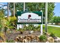 Chelsea Meadows deed restricted community sign surrounded by lush landscaping and mature trees at 22620 Gage Loop # 27, Land O Lakes, FL 34639