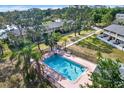 Aerial view of a community swimming pool surrounded by trees and well manicured lawns at 22620 Gage Loop # 27, Land O Lakes, FL 34639