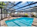 Inviting screened-in pool area with lounge chairs and a hammock at 7115 Edenwood Pl, Tampa, FL 33615