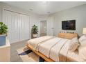 Cozy bedroom features plush carpeting, closet space, and a serene, neutral color palette at 9003 Willowbrook Cir, Bradenton, FL 34212