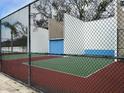 Fenced outdoor racquetball court with colorfully painted walls and playing surface at 121 Loblolly Ct # H, Oldsmar, FL 34677