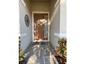 Warm and welcoming entryway featuring a stylish front door, stone walkway, and decorative plants at 3205 Majestic View Dr, Lutz, FL 33558