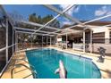 Screened-in pool area with a clear blue pool and dolphin statues at 11304 Sedgefield Ave, Spring Hill, FL 34608