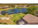 Backyard view features a large pond, mature trees, and a screened-in pool, creating a private oasis at 12933 Prestwick Dr, Riverview, FL 33579