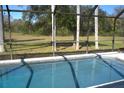 Beautiful swimming pool with screened enclosure and views of the backyard at 8731 Boysenberry Dr, Tampa, FL 33635