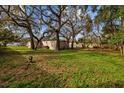 Expansive backyard with mature trees providing ample shade and privacy at 9435 Ottawa St, New Port Richey, FL 34654