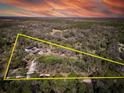 Expansive aerial view of the property with beautiful mature trees and landscaping at 13215 Seminole Trl, Wimauma, FL 33598