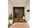 Front entrance featuring double doors, stylish tile flooring, a tree-themed doormat, and decorative potted plants at 4706 Shale Pl, Tampa, FL 33615