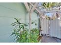 Covered side yard featuring string lights and greenery at 2661 45Th S St, Gulfport, FL 33711