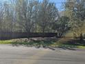 Large lot featuring mature trees and partial fencing at 3801 Bramblewood Blvd, Land O Lakes, FL 34639