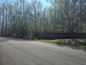 Expansive lot with mature trees and a fire hydrant at 3801 Bramblewood Blvd, Land O Lakes, FL 34639