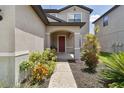 Front entrance with walkway and landscaping at 12235 Creek Preserve Dr, Riverview, FL 33579