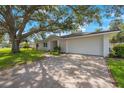 Newly renovated home with a large oak tree and driveway at 1995 Arvis E Cir, Clearwater, FL 33764