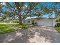 Newly renovated home with a large oak tree and sidewalk at 1995 Arvis E Cir, Clearwater, FL 33764