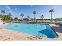 Community swimming pool with surrounding lounge chairs and palm trees at 1153 Dustan Pl, Trinity, FL 34655