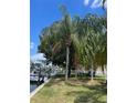 Waterfront property with lush landscaping and palm trees at 732 Kingston Ct, Apollo Beach, FL 33572