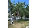 Spacious backyard featuring palm trees and fire pit at 732 Kingston Ct, Apollo Beach, FL 33572
