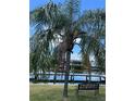 Relaxing backyard oasis with palm trees and waterfront views at 732 Kingston Ct, Apollo Beach, FL 33572