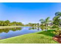 Stunning view of a lake with lush greenery and houses in the background at 2902 Punta Palma Ct, Holiday, FL 34691