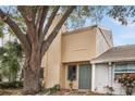 Tan siding townhome with green door, landscaping, and large tree at 4712 Stonepointe Pl, Tampa, FL 33634