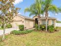House exterior featuring a palm tree and well-manicured lawn at 18732 Dobson Dr, Hudson, FL 34667