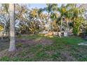 Large backyard with mature trees and a storage shed at 405 Pine S Ave, Oldsmar, FL 34677