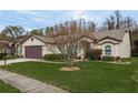 Landscaped yard with a one-story house and brown garage door at 9639 Conservation Dr, New Port Richey, FL 34655