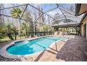 Relaxing kidney-shaped pool with screened enclosure at 1413 Morning Rose Pl, Trinity, FL 34655
