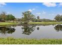 Serene pond with a wooden bridge and lush greenery at 4412 Lake In The Woods Dr, Spring Hill, FL 34607