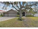 Gray house with double doors and large tree in front at 609 Salt Lake Dr, Tarpon Springs, FL 34689