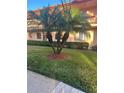 Mature palm trees and manicured lawn in front of building at 108 Lakeside Dr, Oldsmar, FL 34677