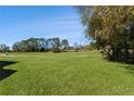 Landscaped backyard with golf course views at 11830 Wax Myrtle Ct, New Port Richey, FL 34654