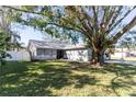 One-story home with a tree-lined yard and a tire swing at 14004 Cascade Ln, Tampa, FL 33618