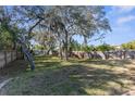 Large grassy backyard with mature oak trees and privacy fence at 1929 Oswego Dr, Holiday, FL 34691