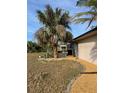 A well-maintained yard features gravel beds surrounding tropical trees at 4115 Corn St, Port Charlotte, FL 33948