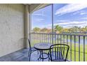 Inviting screened balcony with table and chairs overlooking lake at 6734 Dali Ave # 205, Land O Lakes, FL 34637