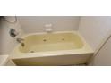 Relaxing yellow soaking tub with jets in a cozy bathroom setting at 2013 Meredith Dr, Spring Hill, FL 34608