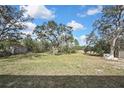 Expansive backyard featuring mature trees and lush green grass, perfect for outdoor activities at 7399 Skylark Dr, Spring Hill, FL 34606