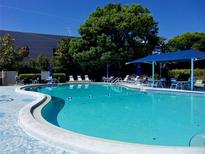 Sparkling community pool with lounge chairs and shaded seating area for relaxation and enjoyment on a sunny day at 305 30Th W Ave # A103, Bradenton, FL 34205