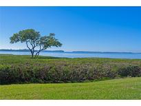 Tranquil waterfront view with lush greenery and a solitary tree at 4731 Independence Dr # 4731, Bradenton, FL 34210